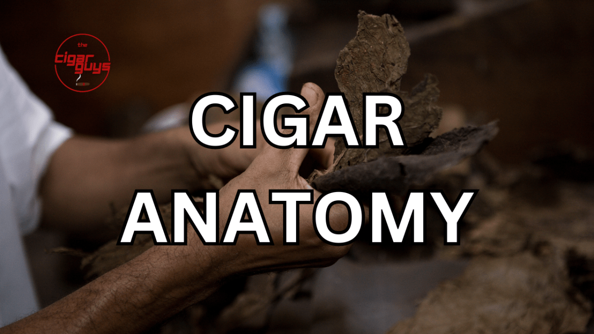 The Anatomy of a Cigar: Understanding the Components and Construction
