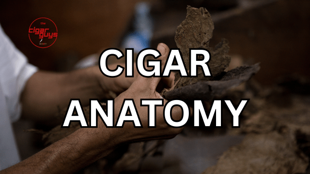 The Anatomy of a Cigar: Understanding the Components and Construction