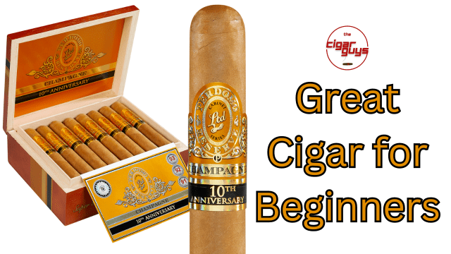 A Perfect Choice for Beginners