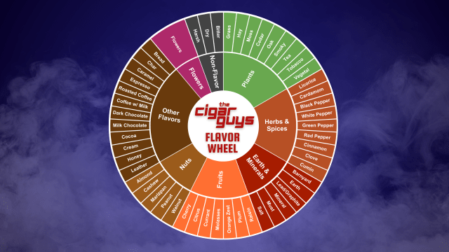 How to Taste Cigar Flavor Notes