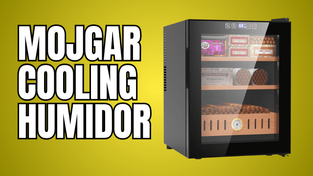 Mojgar 50L Thermostatic Electric Humidor: The Ultimate Gift for Men